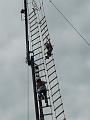 D-S9219-P1170094-8