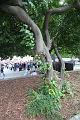 D-S9381-IMG_7287-5