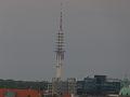 D-T1011-P1770247-1