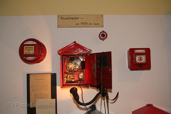 IMG_9310.JPG