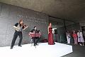 D-W4733-IMG_9337-5