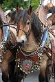 D-W5483-IMG_09938-5