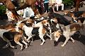 D-W6778-IMG_11234-5