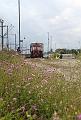IMG_8880a