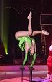 IMG_09949a