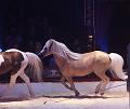IMG_11654a