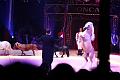IMG_11663a