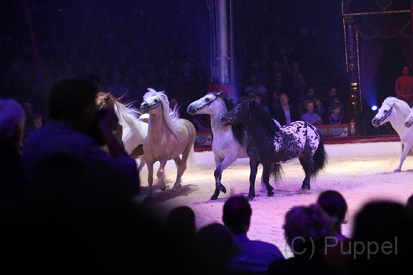 IMG_11692.JPG