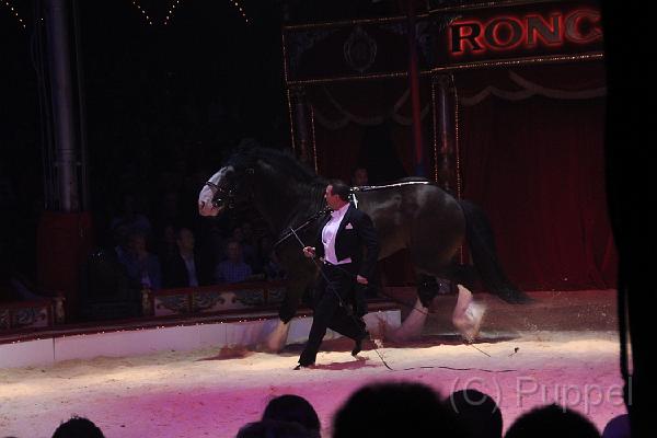 IMG_11814.JPG