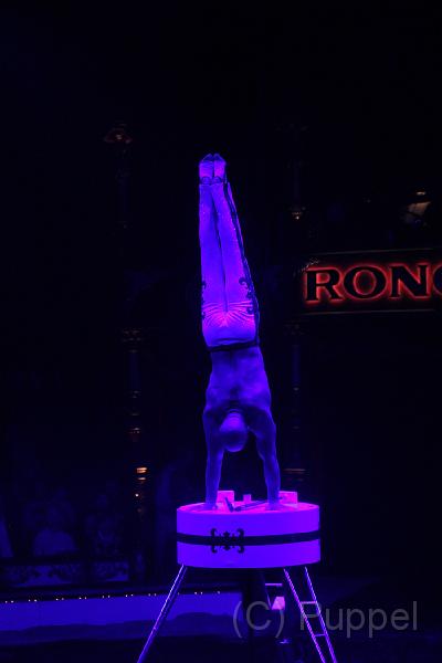 IMG_12437.JPG
