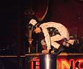 IMG_10760a