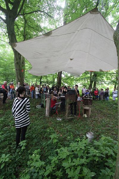 D-Y1335-IMG_4739-5.JPG