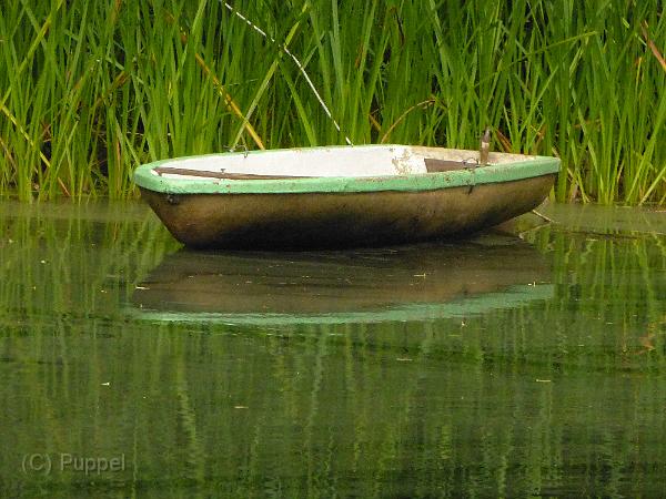 D-Y1583-P2000108-1.JPG
