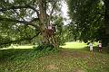D-Y3369-IMG_5431-5