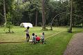 D-Y3385-IMG_5447-5