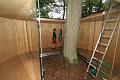 D-Y3390-IMG_5452-5