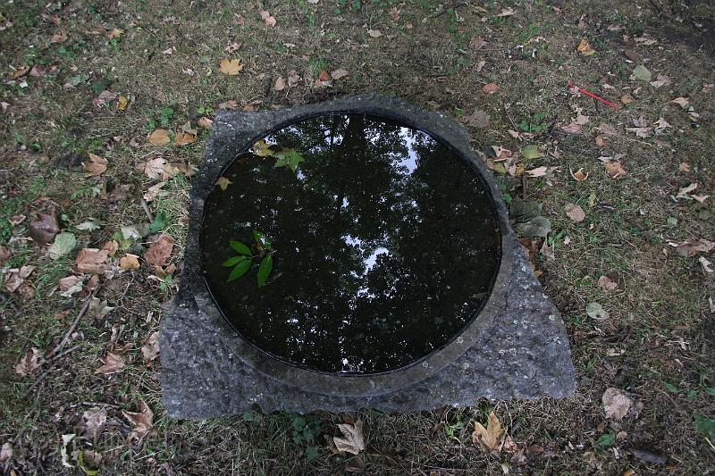 D-04-IMG_3167.JPG