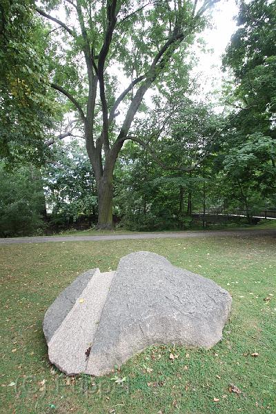 D-06-IMG_3178.JPG