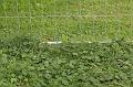 D-05-IMG_3332