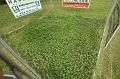 D-05-IMG_3333