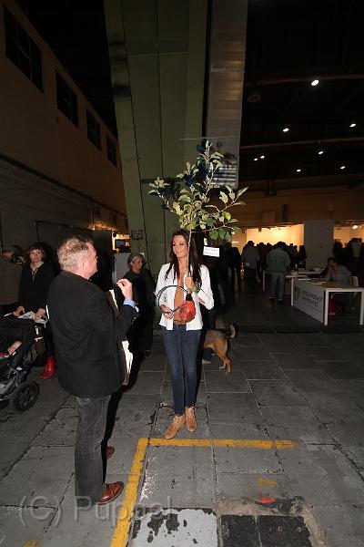 B-a-walk__IMG_10151.JPG