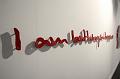 B-a-04_Schmalfuss_IMG_10261