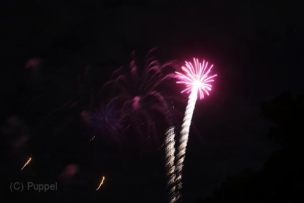 IMG_2231.JPG