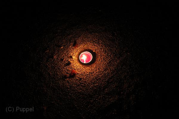 IMG_2729.JPG