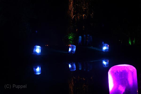 IMG_2863.JPG