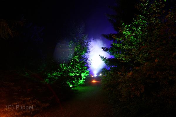 IMG_2917.JPG