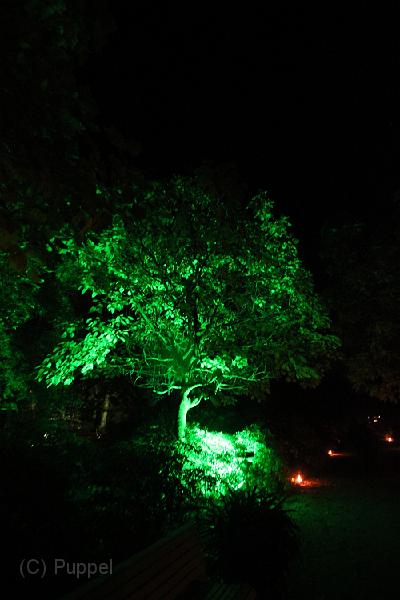 IMG_2943.JPG