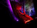 IMG_2701a