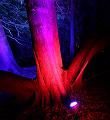 IMG_2715a
