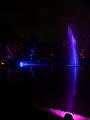 IMG_2810a
