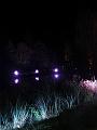 IMG_2896aa