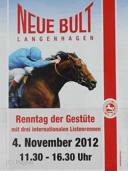 A_Neue_Bult.jpg