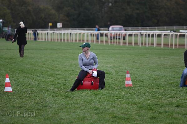 IMG_6461.jpg