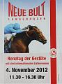 A_Neue_Bult