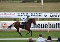 IMG_6183a