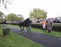 IMG_6762a