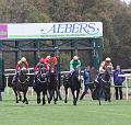IMG_6798aa