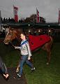 IMG_6864a