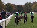 IMG_7086a