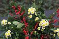 D-D8769-IMG_9250-5