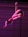 IMG_10637-5a
