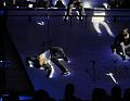 IMG_11172-5a