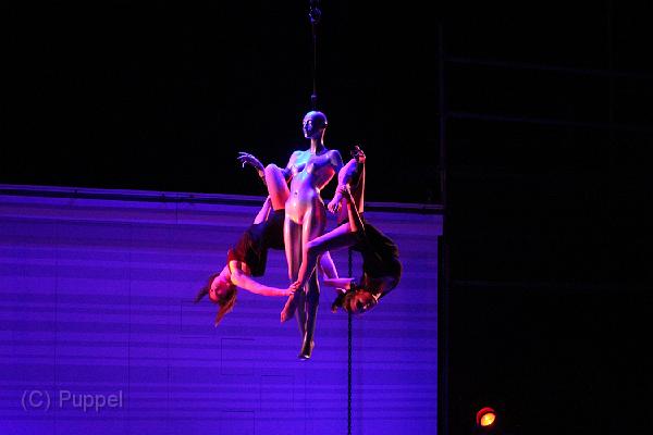 IMG_10082-5.JPG