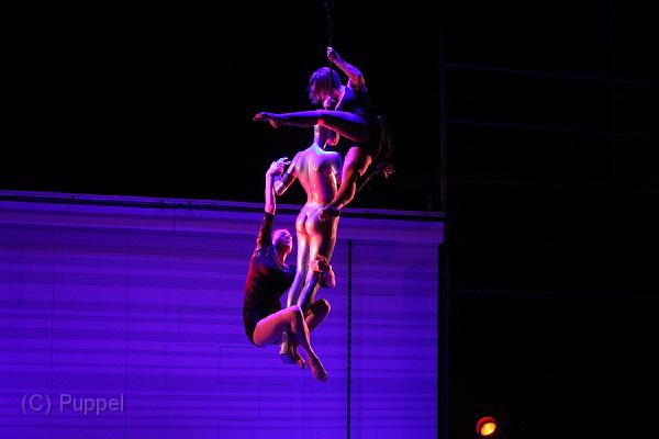 IMG_10086-5.JPG
