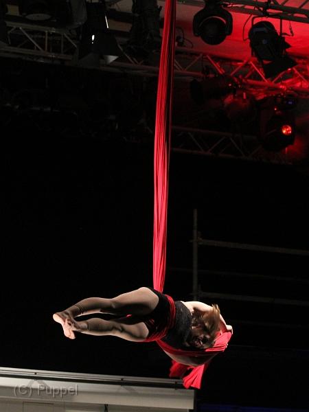 IMG_11110-5a.jpg
