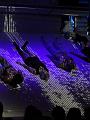IMG_09740-5a